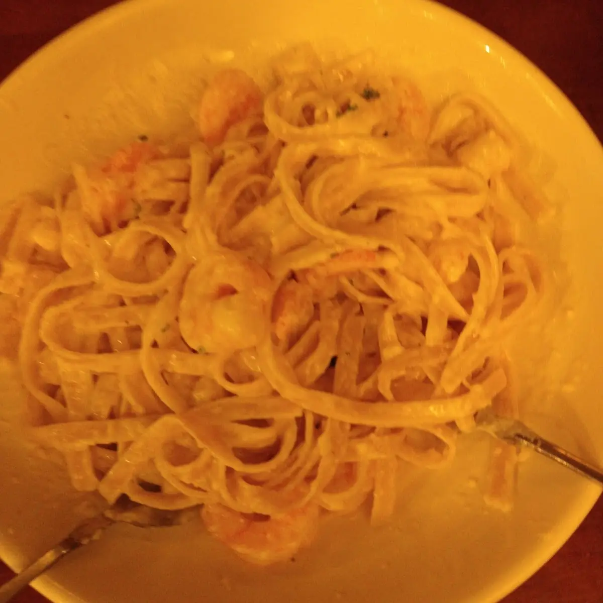 Shrimp Alfredo