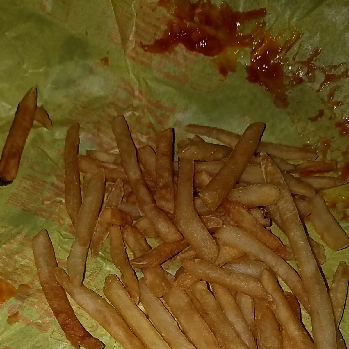 World Famous Fries