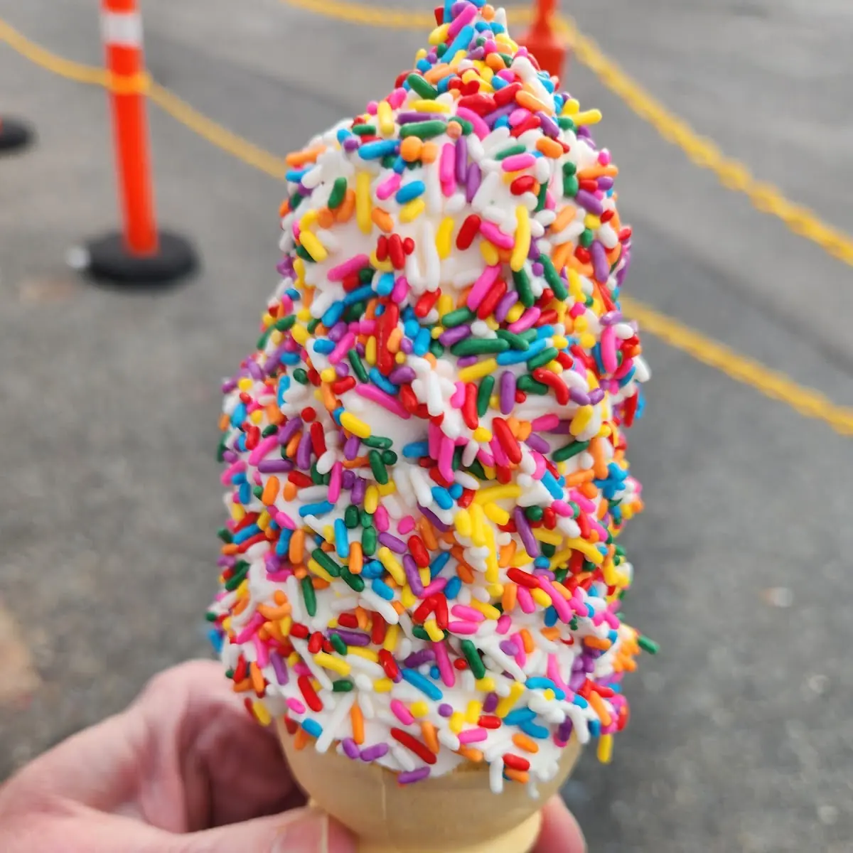 Small Vanilla Custard on a Cake Cone with Rainbow Sprinkles