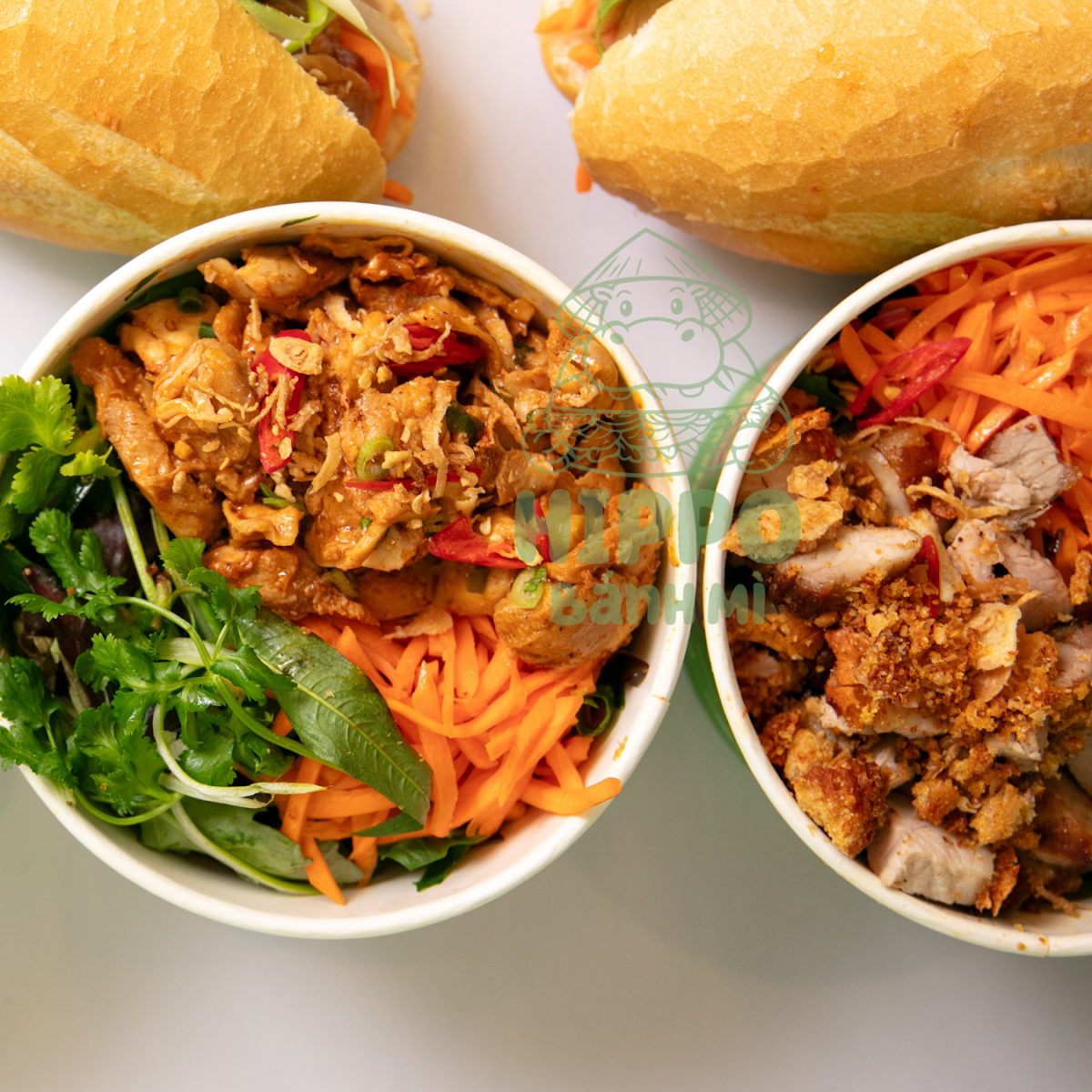 Highlights, Hippo Banh Mi