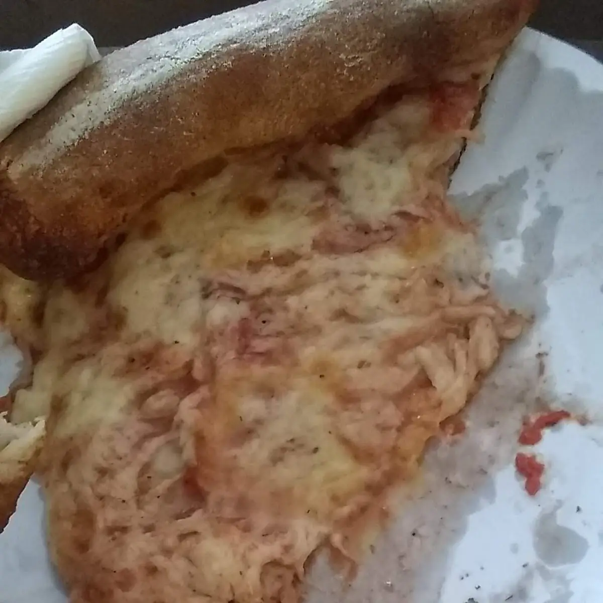 Extra Cheese Pizza