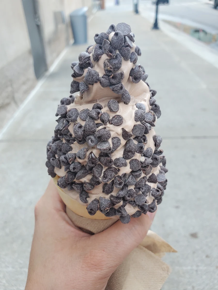 Chocolate with Sea Salt and Chocolate Chips