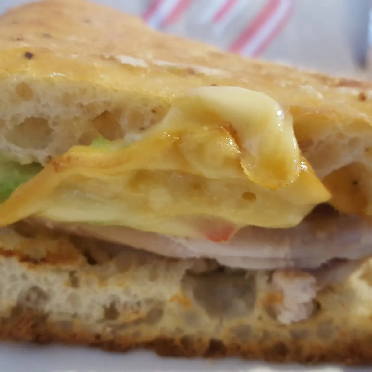 Chicken Avocado Melt