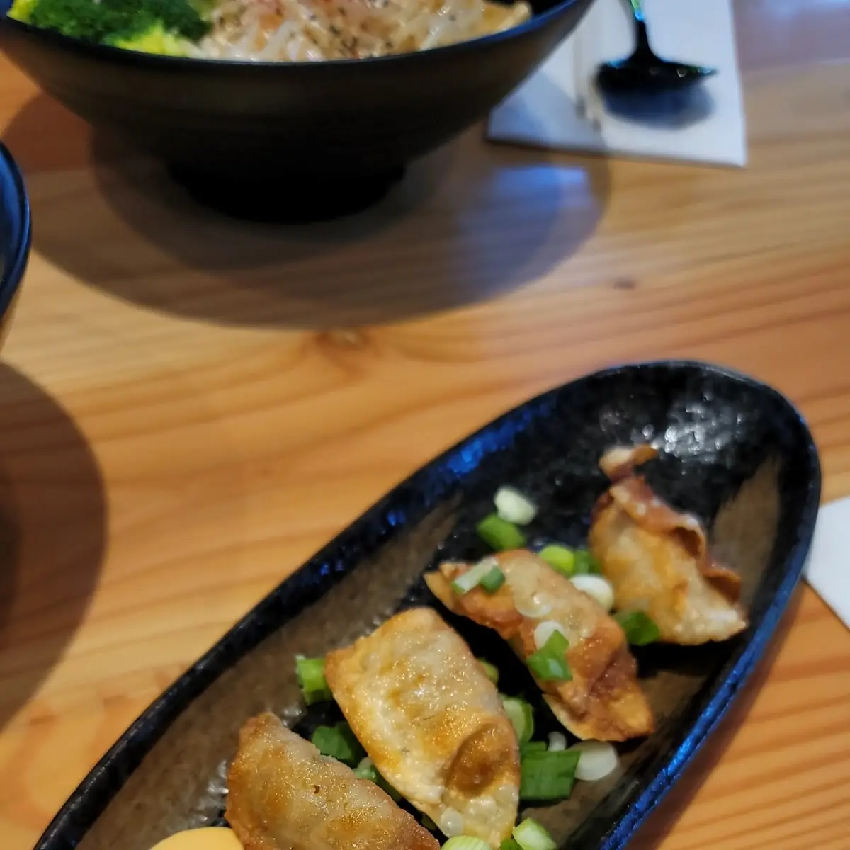 Fried Dumplings