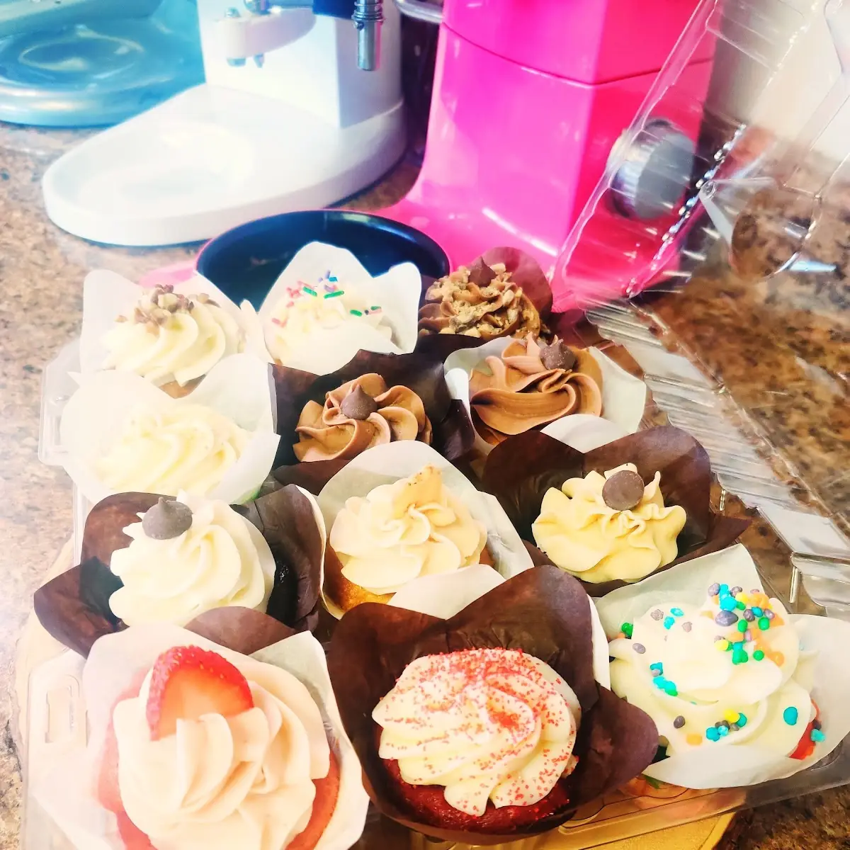 Surprise Me One Dozen Cupcakes