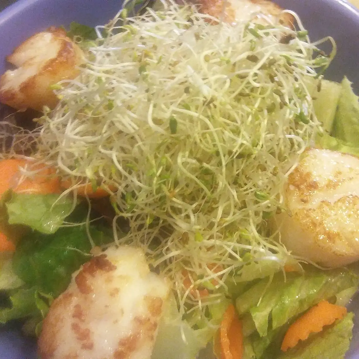 Prosciutto Wrapped Scallops