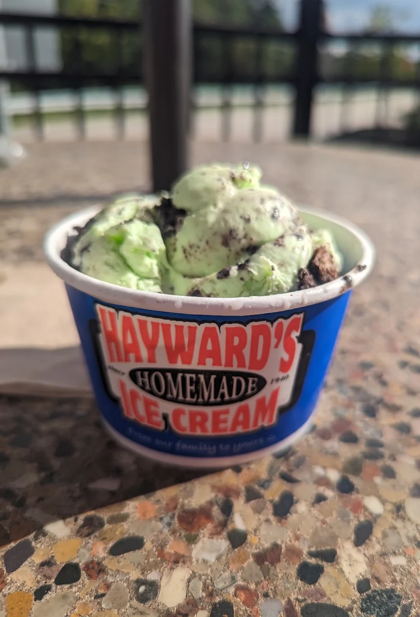 Mint Oreo Ice-Cream