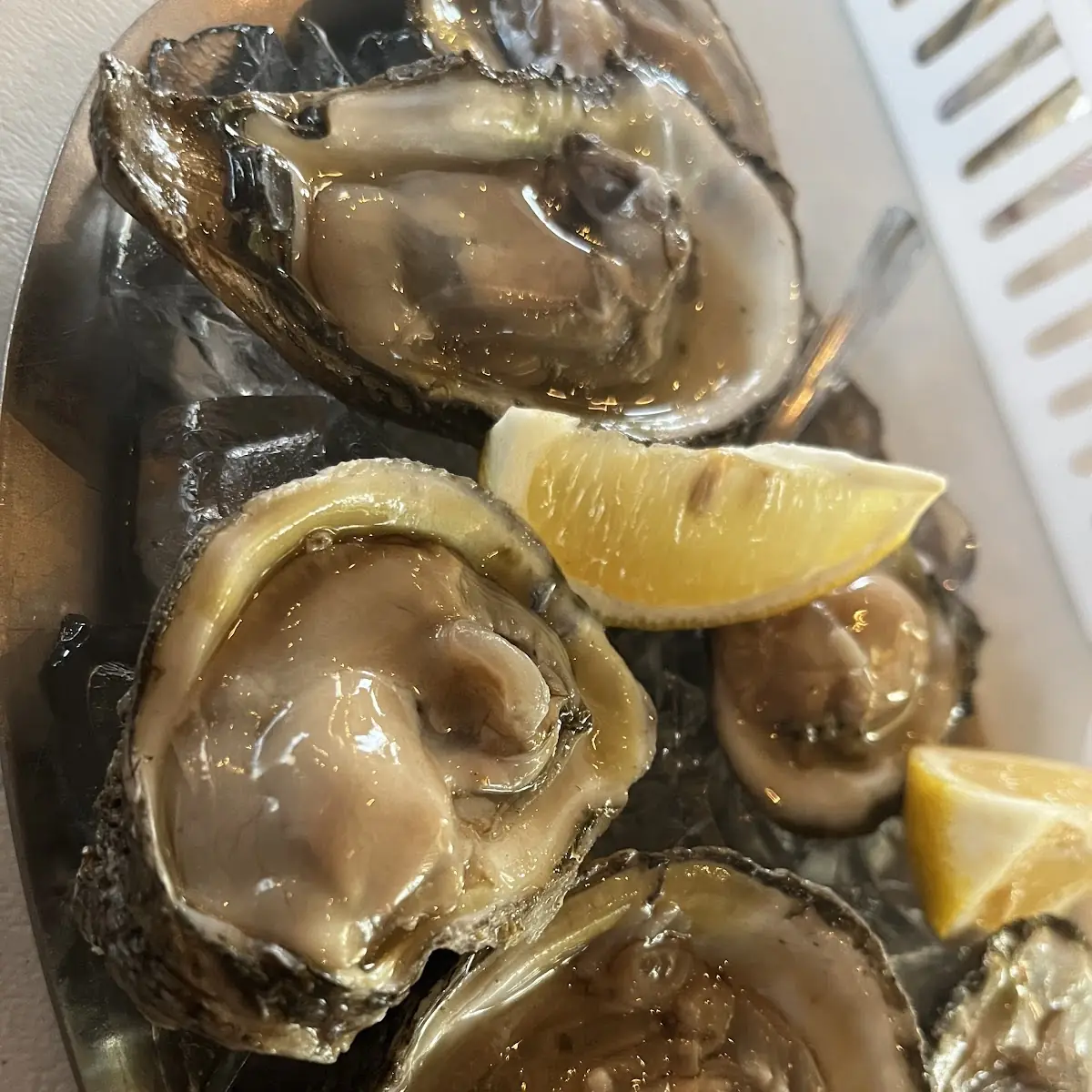 Oysters on the Half Shell