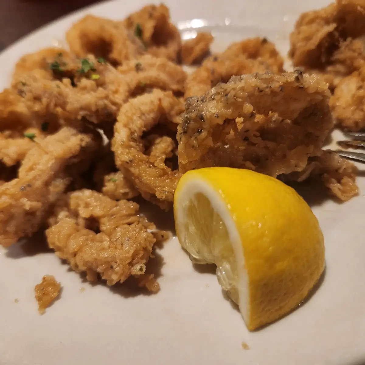 Fried Calamari