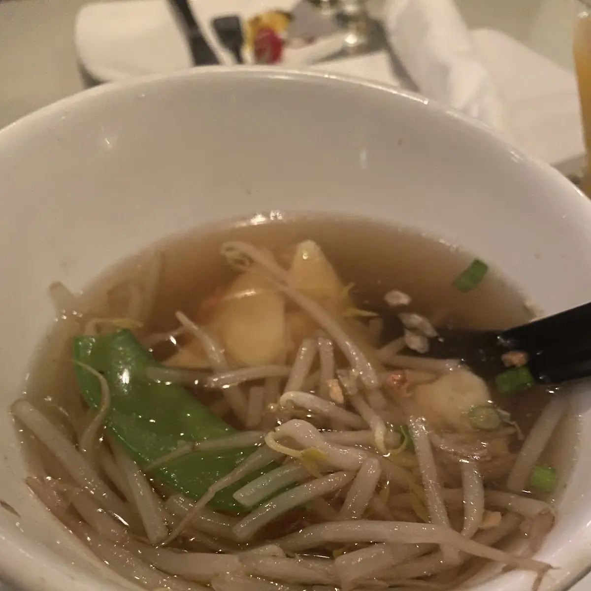 Wonton Soup