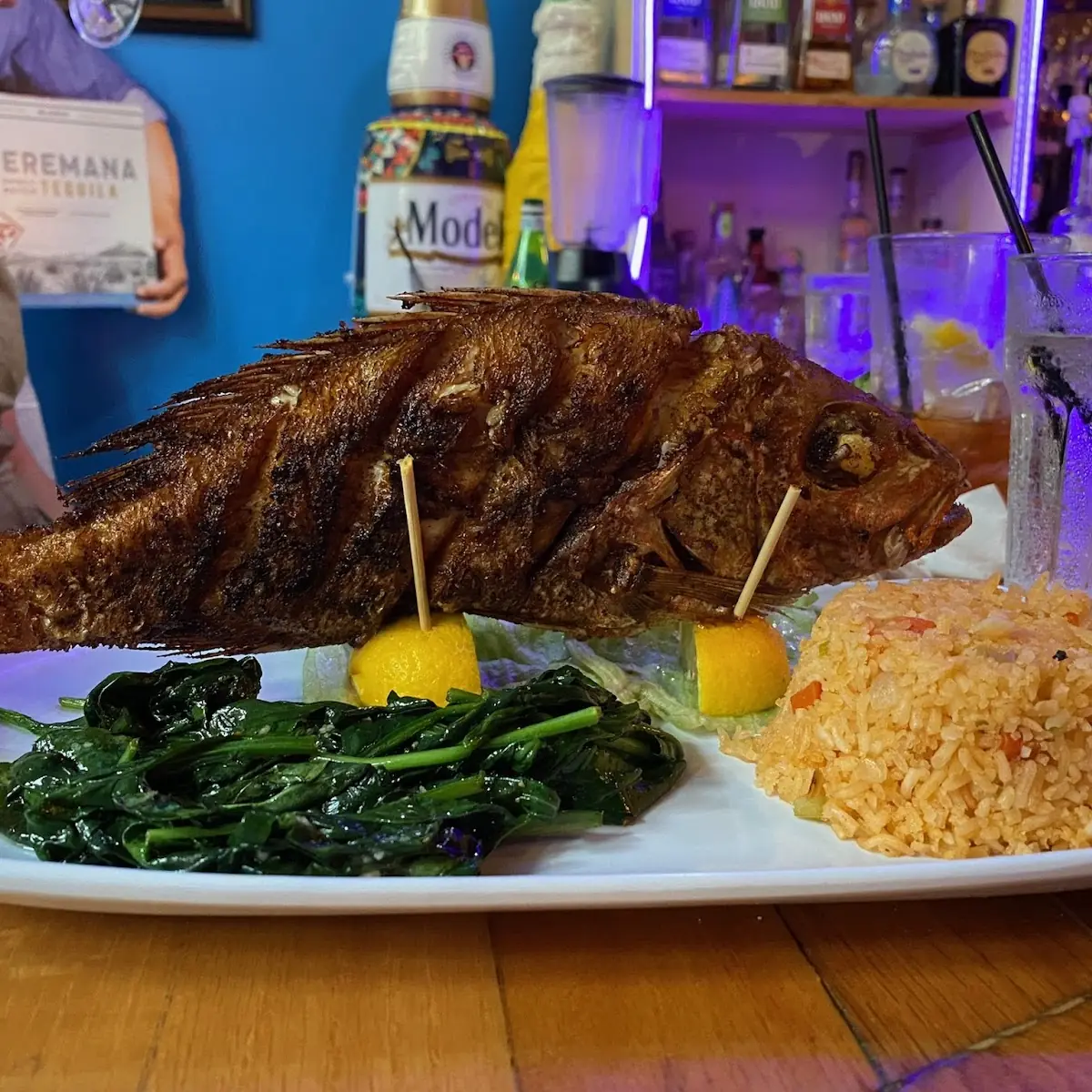 Red Snapper