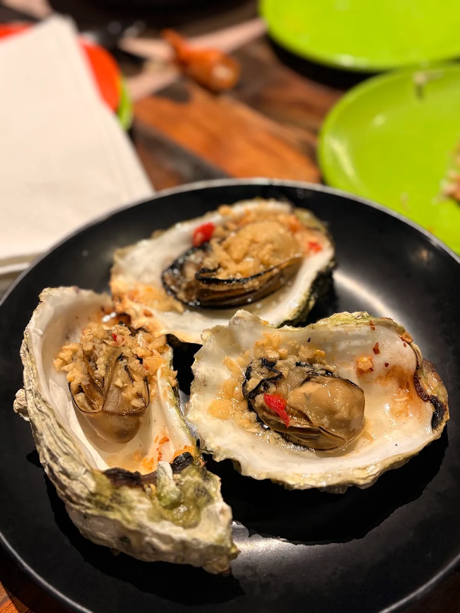 Oysters on the Half Shell