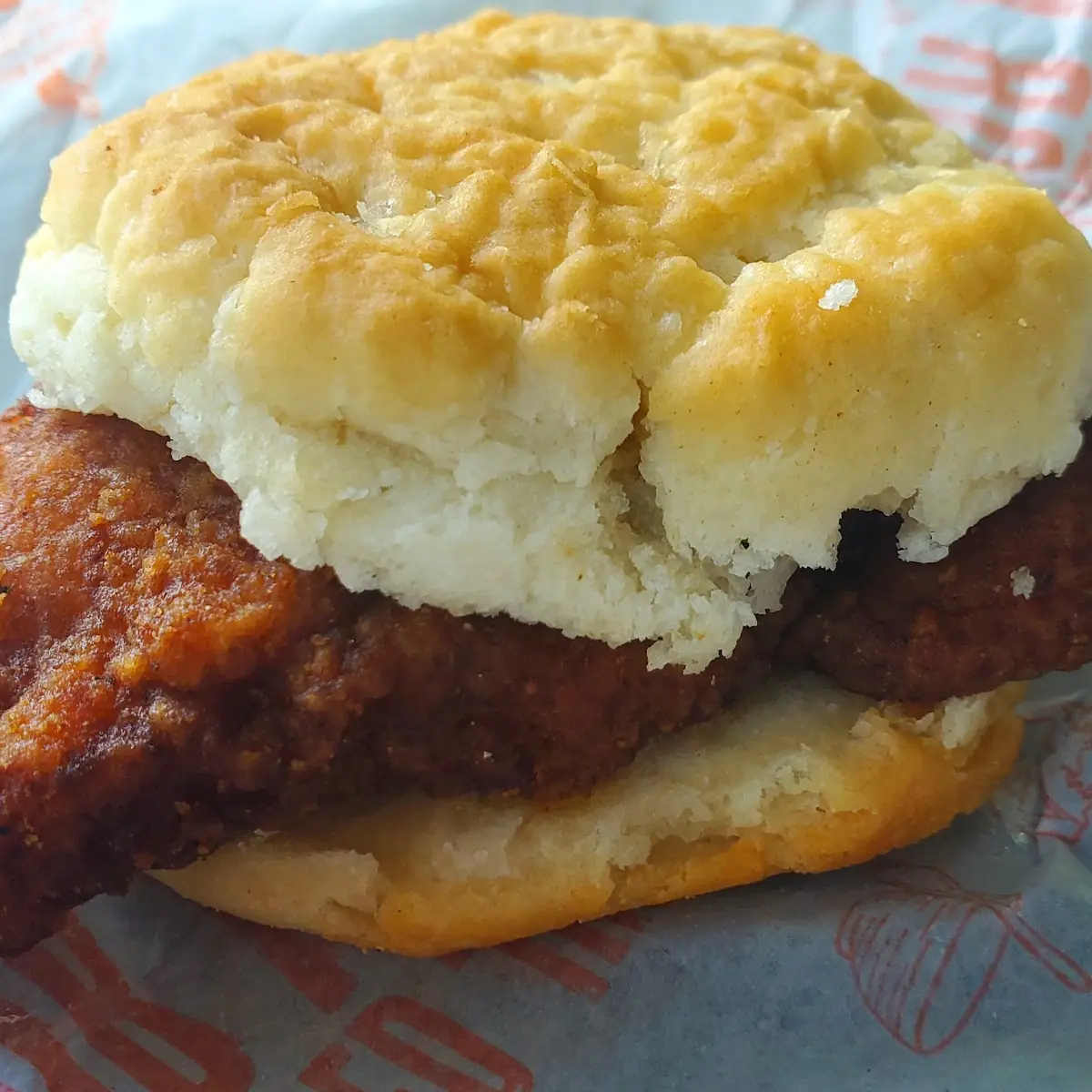 Chicken Biscuit