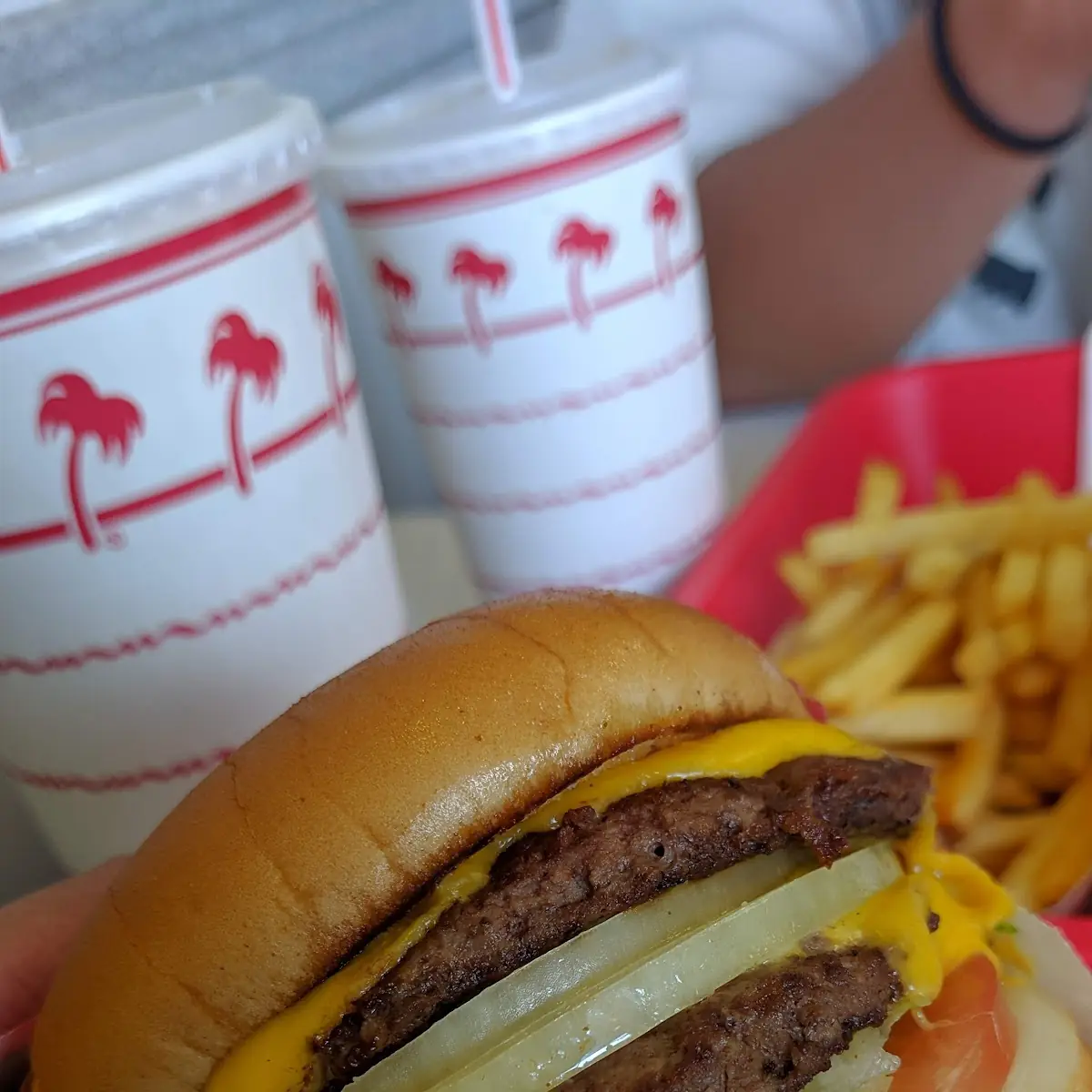 Double Meat Double Cheese Fries