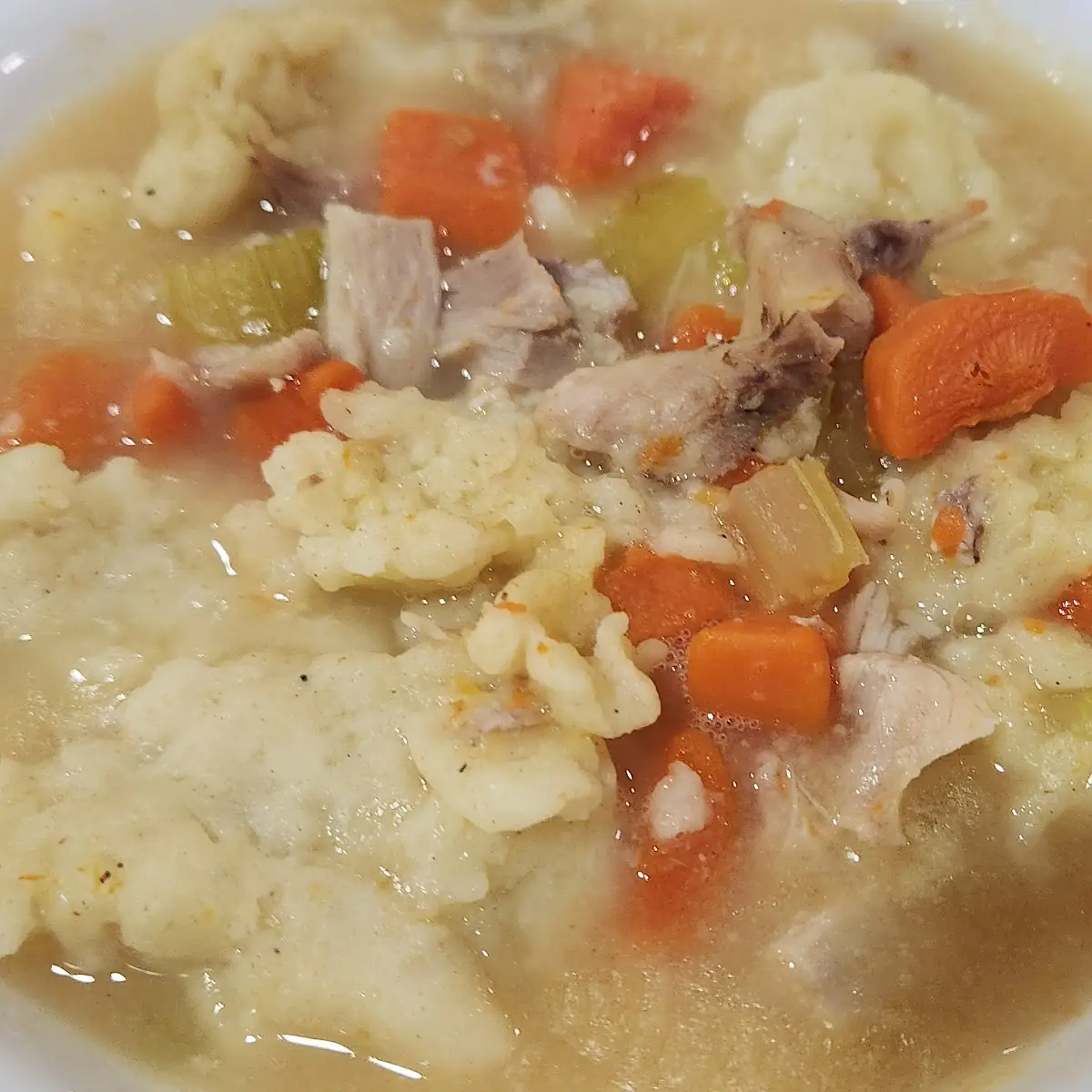 Chicken Dumpling Soup