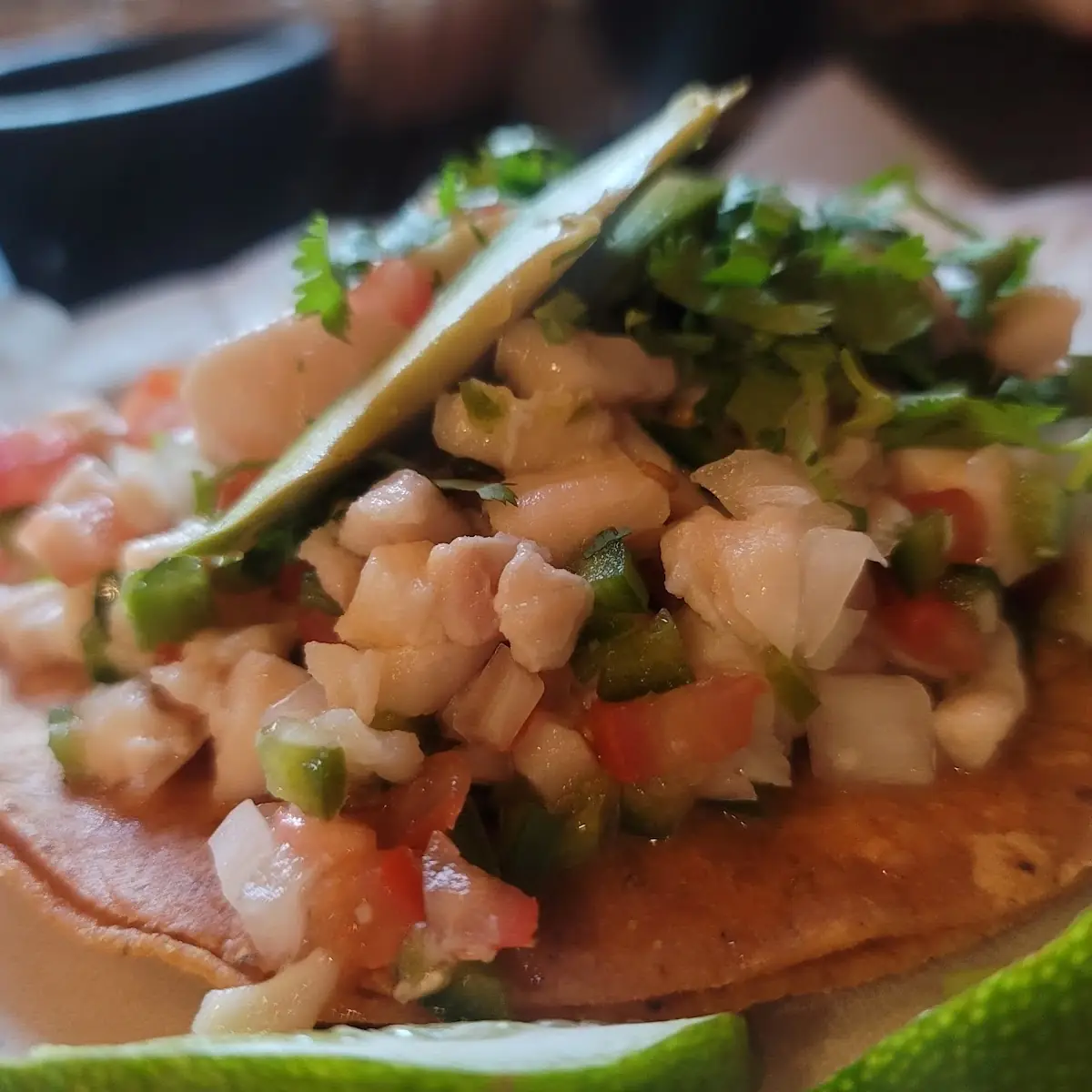 Ceviche