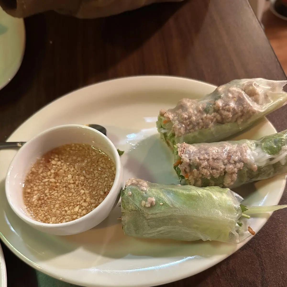 Pork Spring Rolls