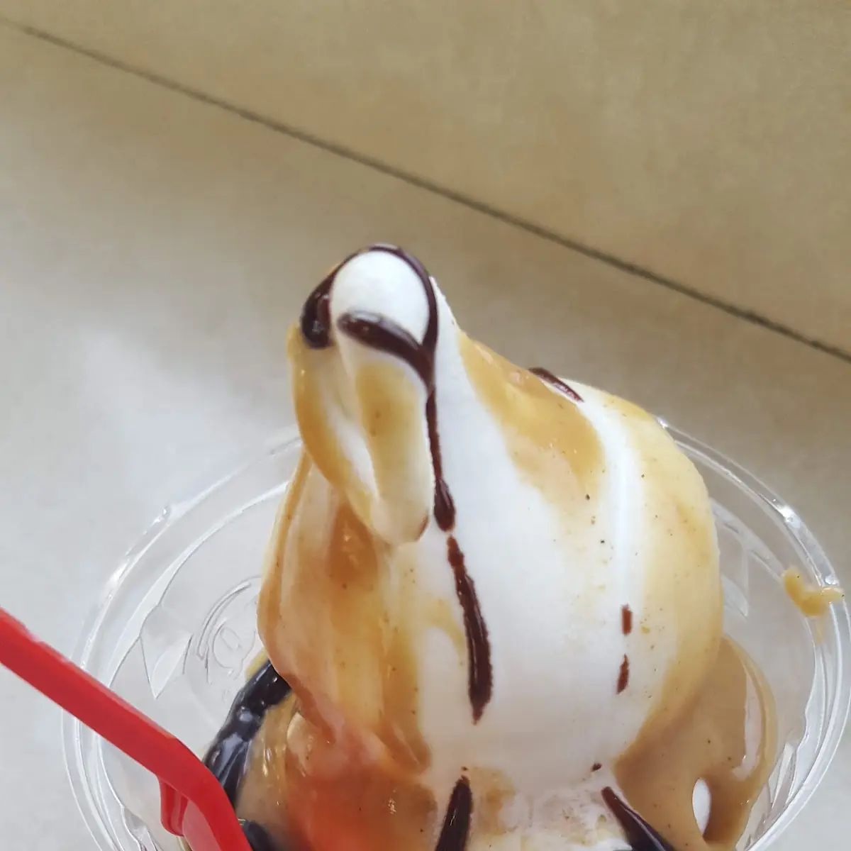 Hot Fudge Sundae