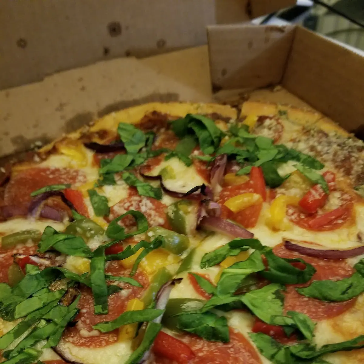 Pepperoni and Veggie Pizza