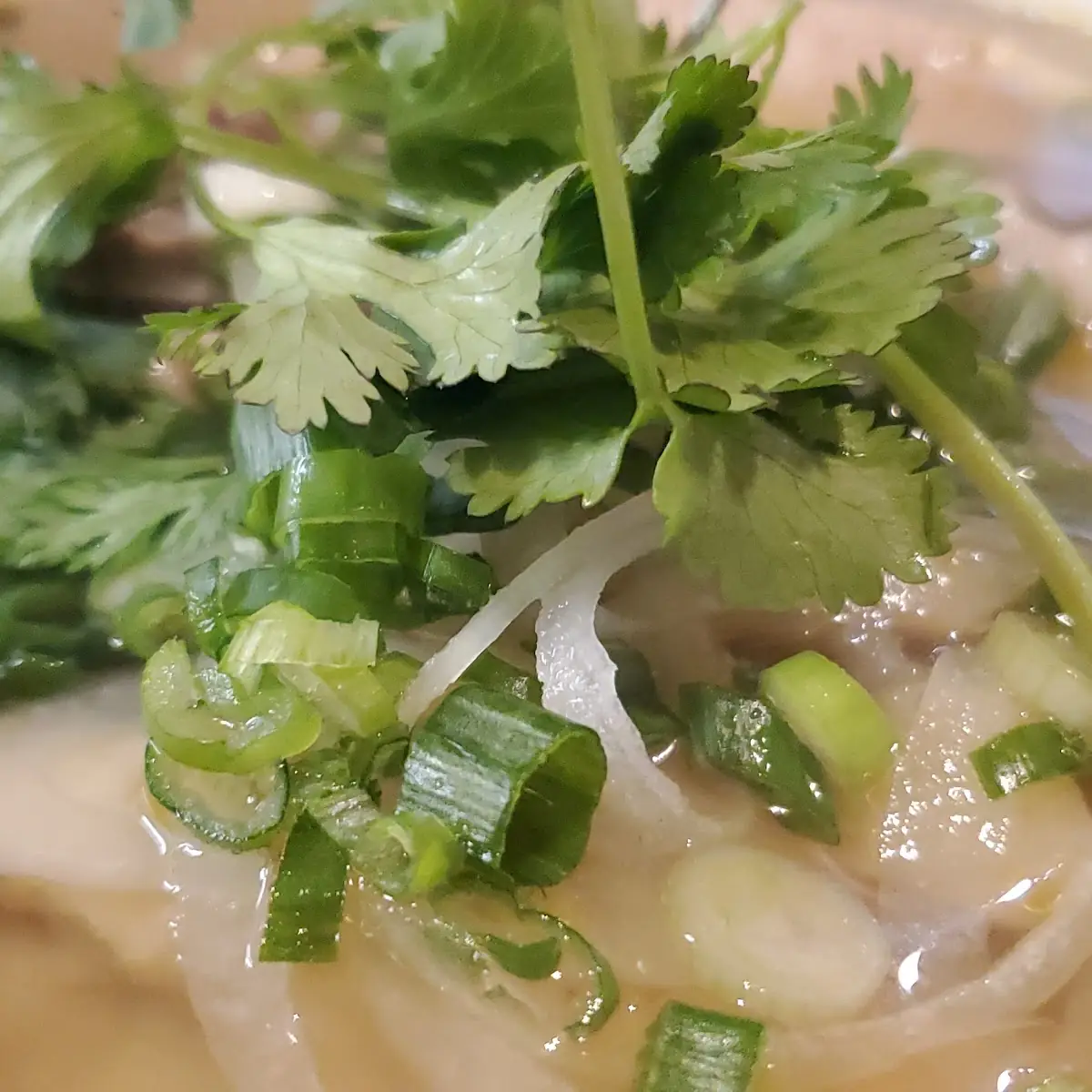 p1 Pho Tai Steak
