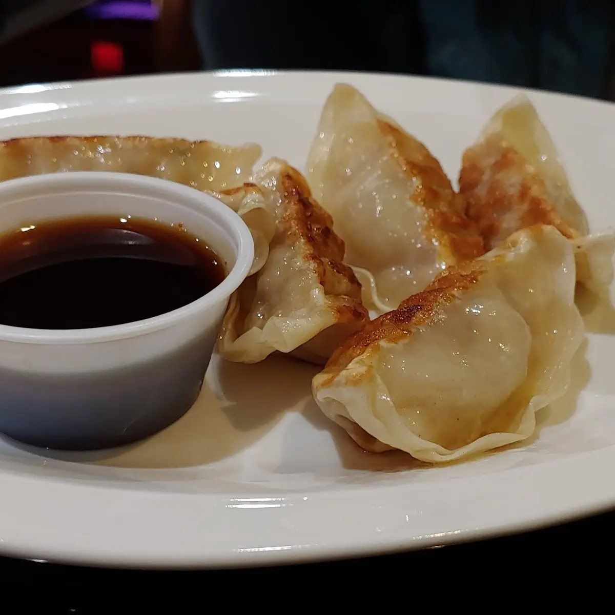 Deep Fried Dumpling