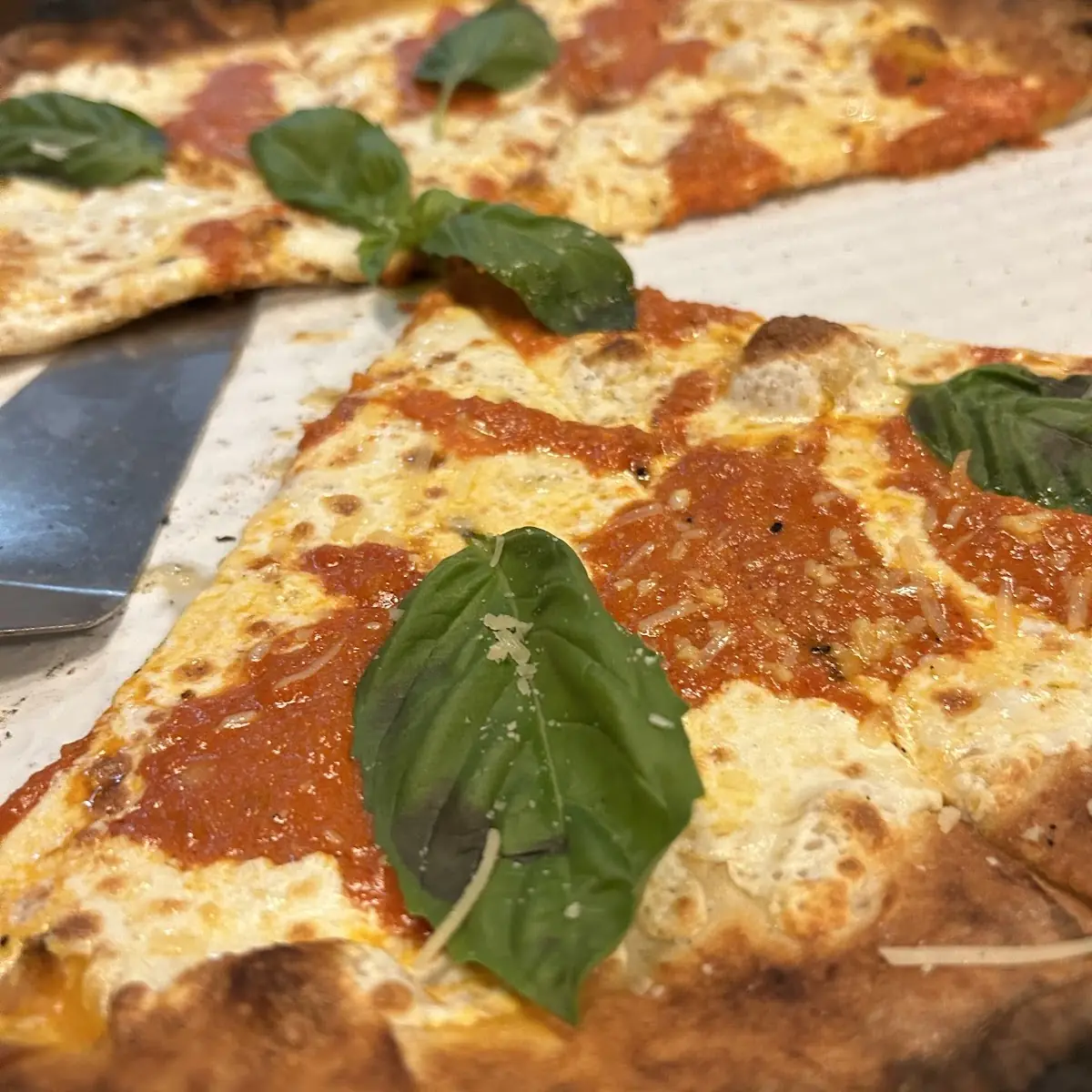 Vodka Pizza
