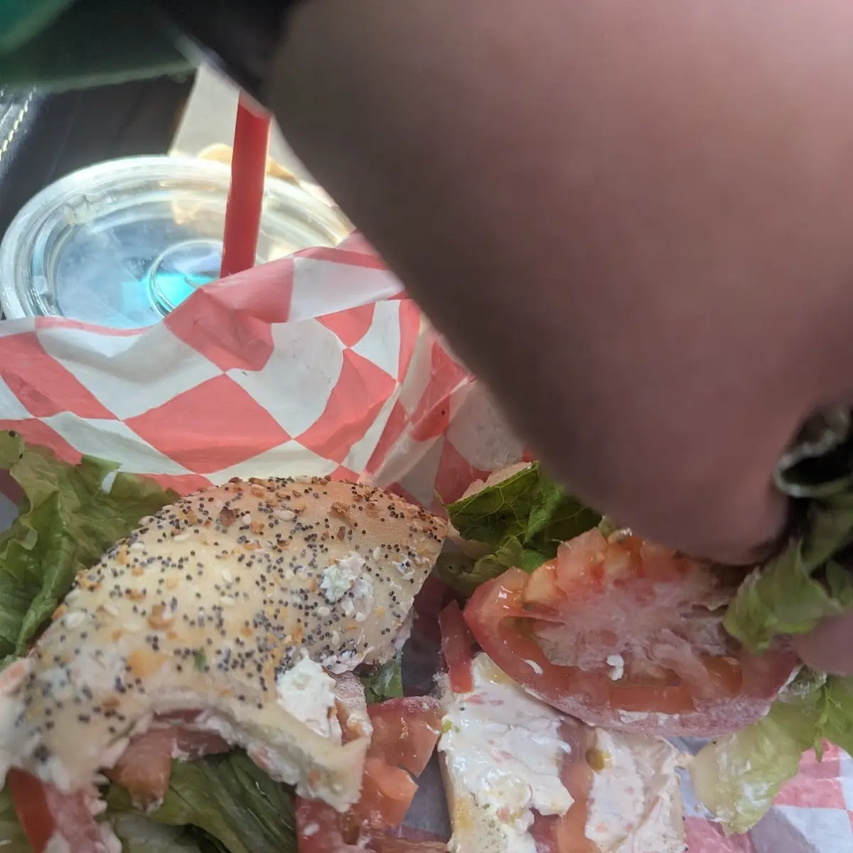 Babs' Choice Bagel