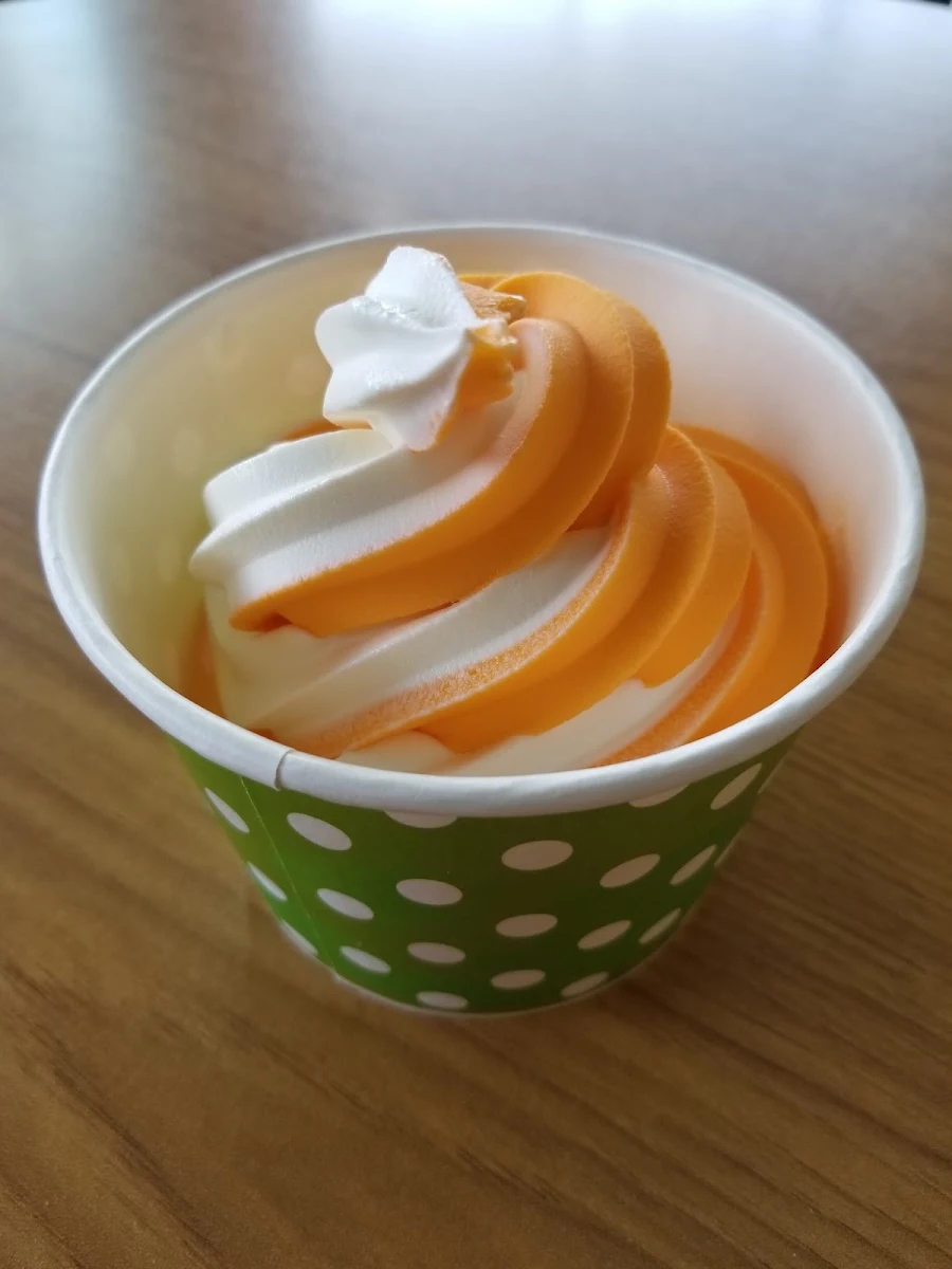 Frozen Yogurt