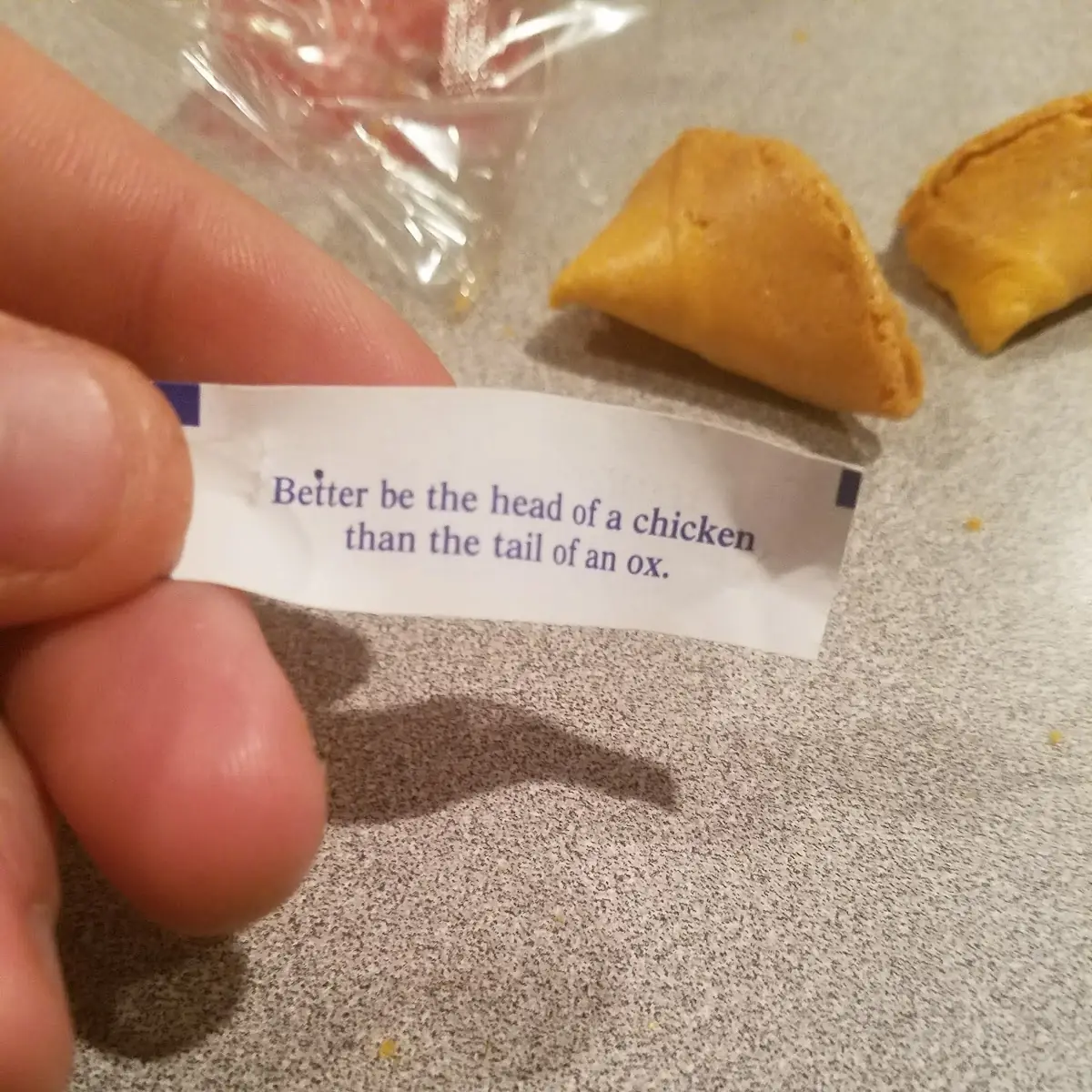 Fortune Cookie