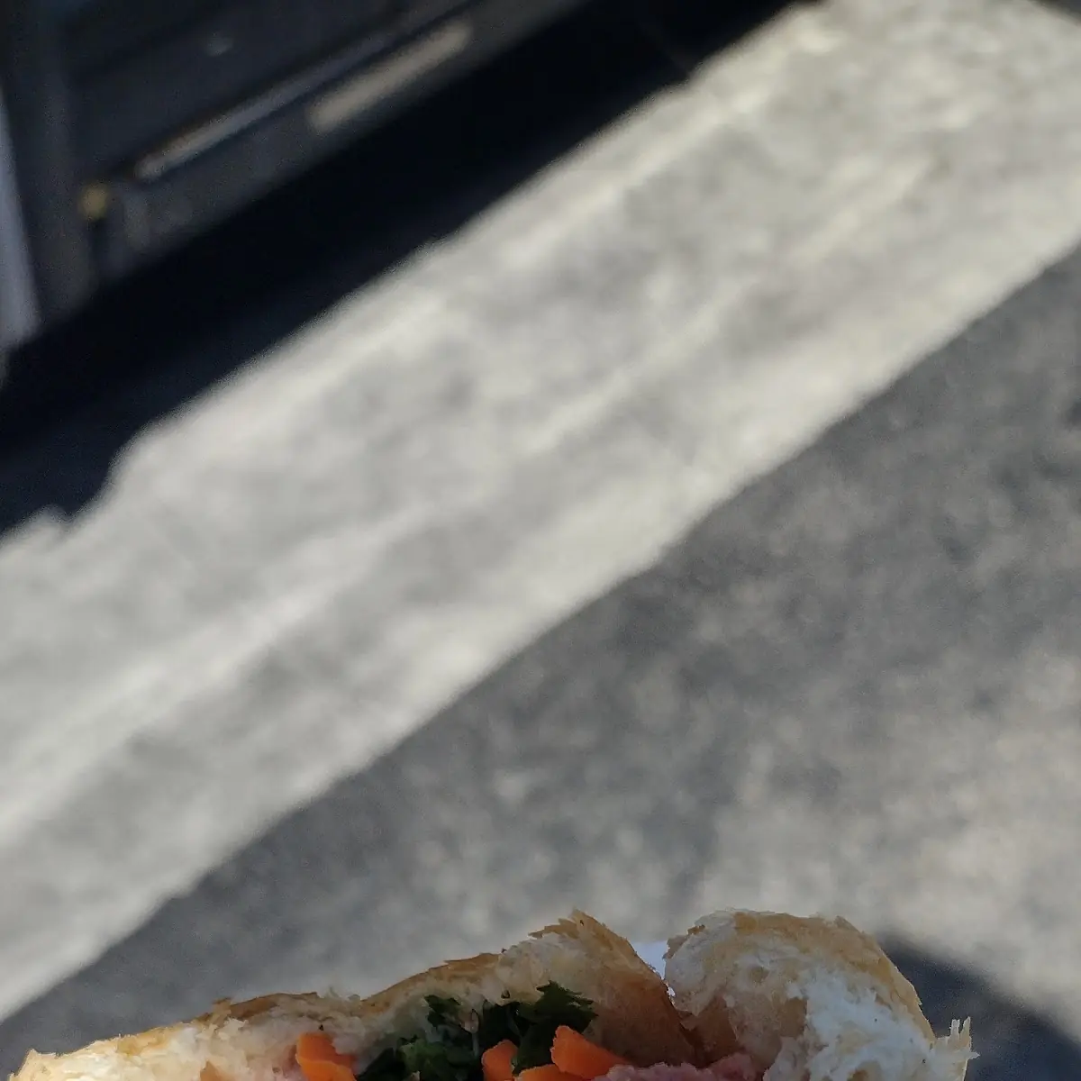 1 Special Sandwich