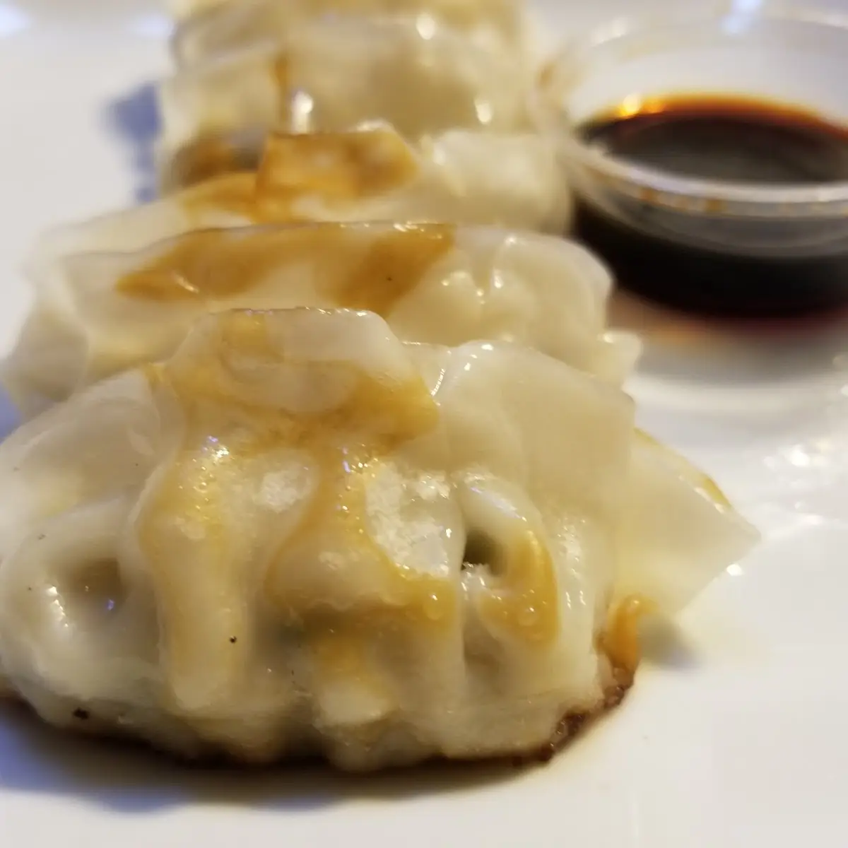 Pork Gyoza