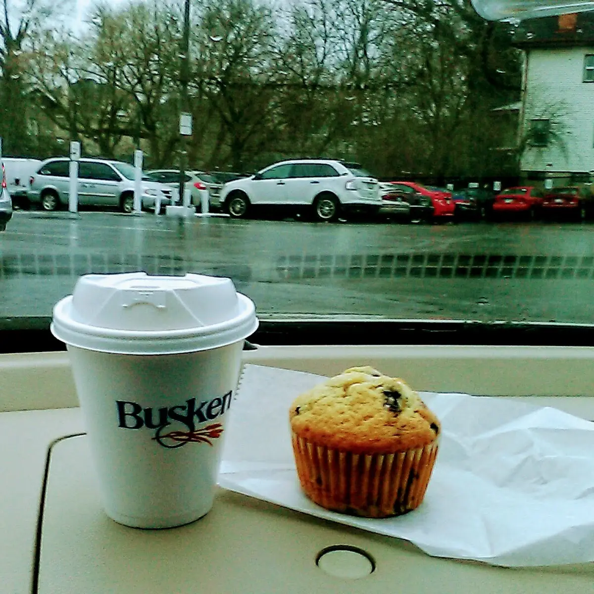 Blueberry Muffin