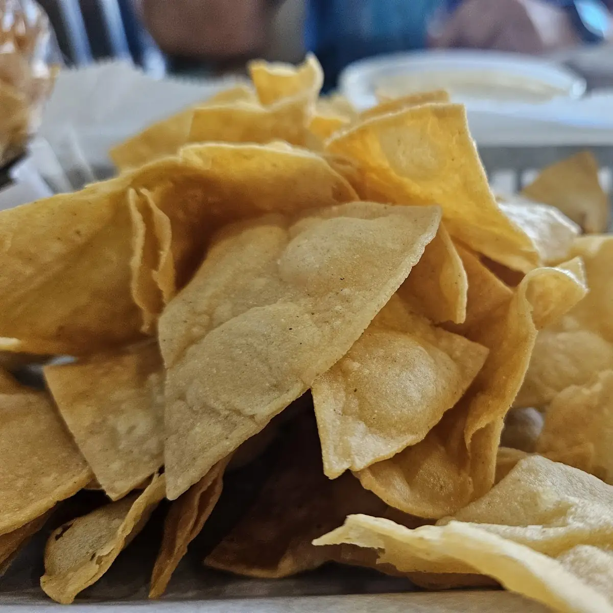 Carnitas Burrito Special
