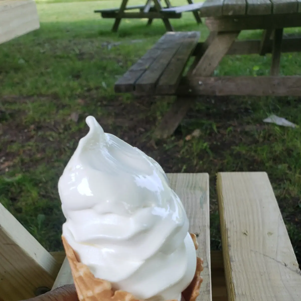 Vanilla Ice Cream
