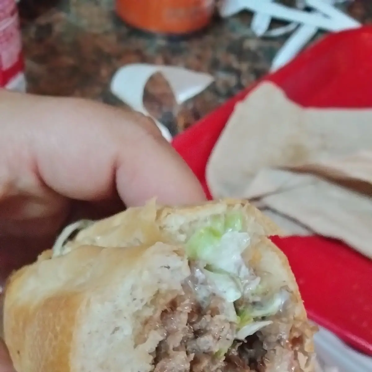 Steak and Cheese Sub