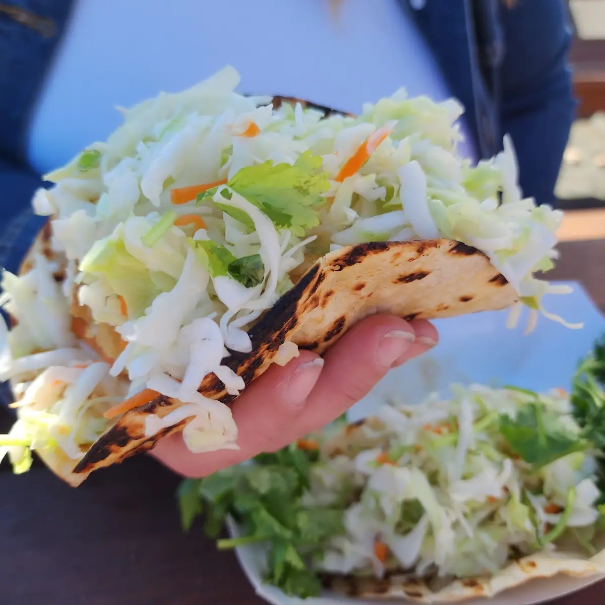 Fish Tacos and Fries