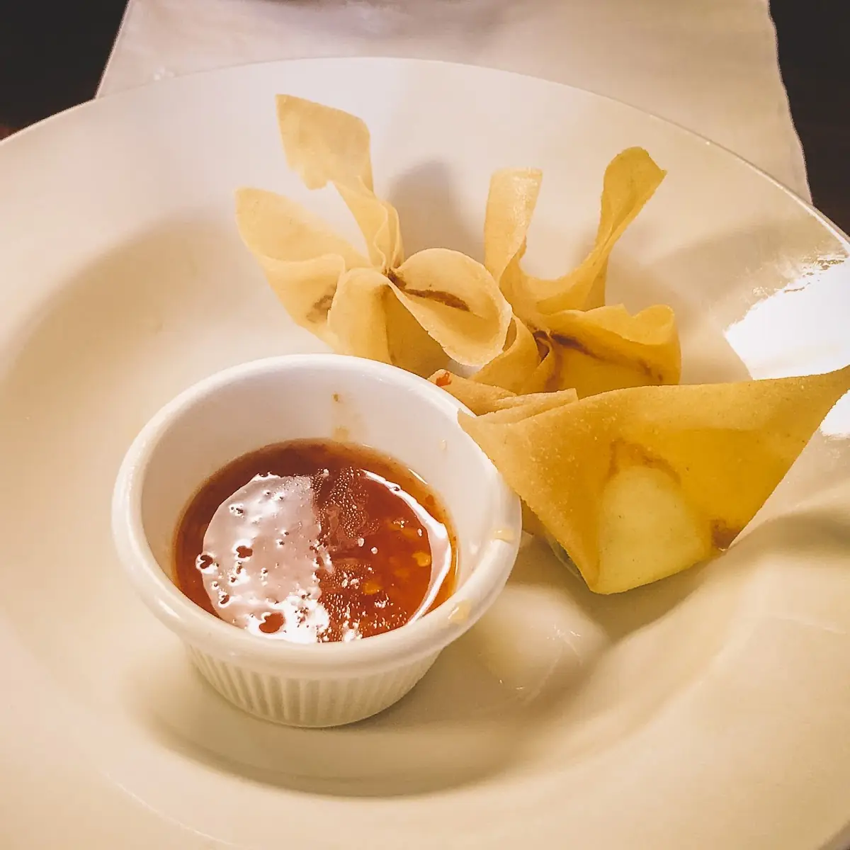 Cheese Wonton 6