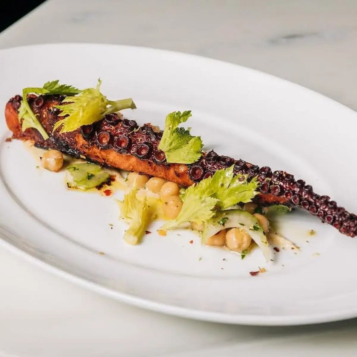 Grilled Octopus and Hummus Appetizer