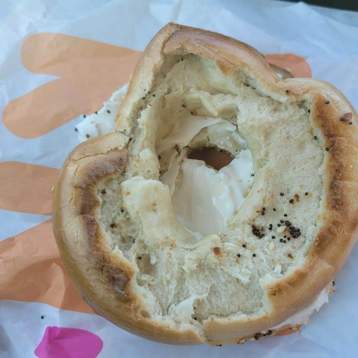 Everything Bagel Toasted with Cream Cheese