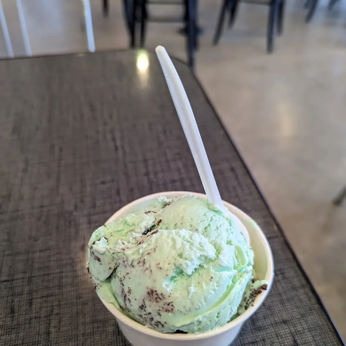 Mint Chocolate Chip