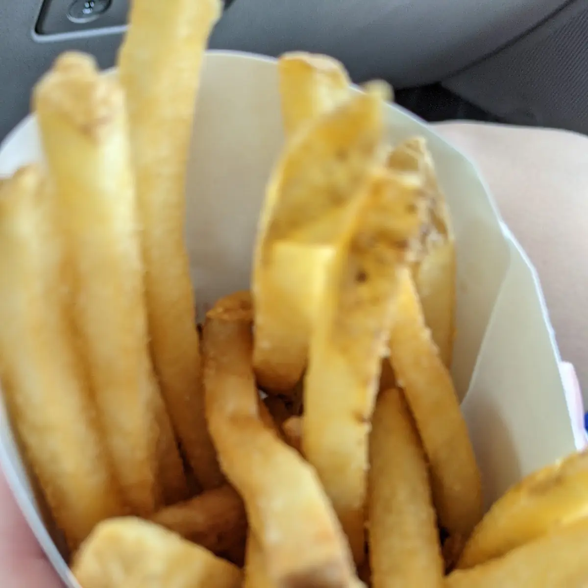 Natural Cut Fries