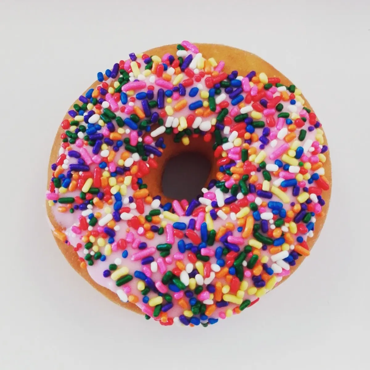Doughnut