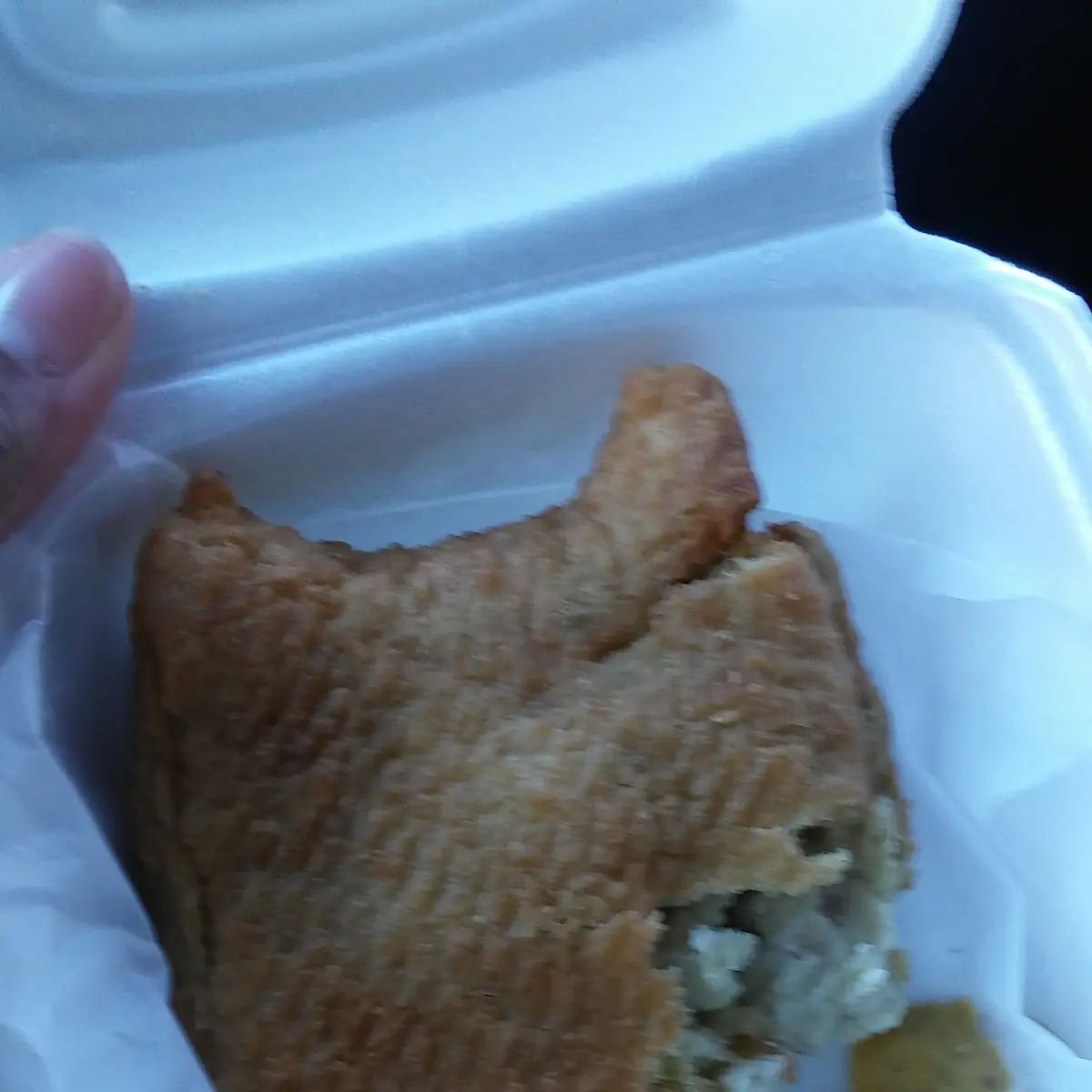Coney Island Knish