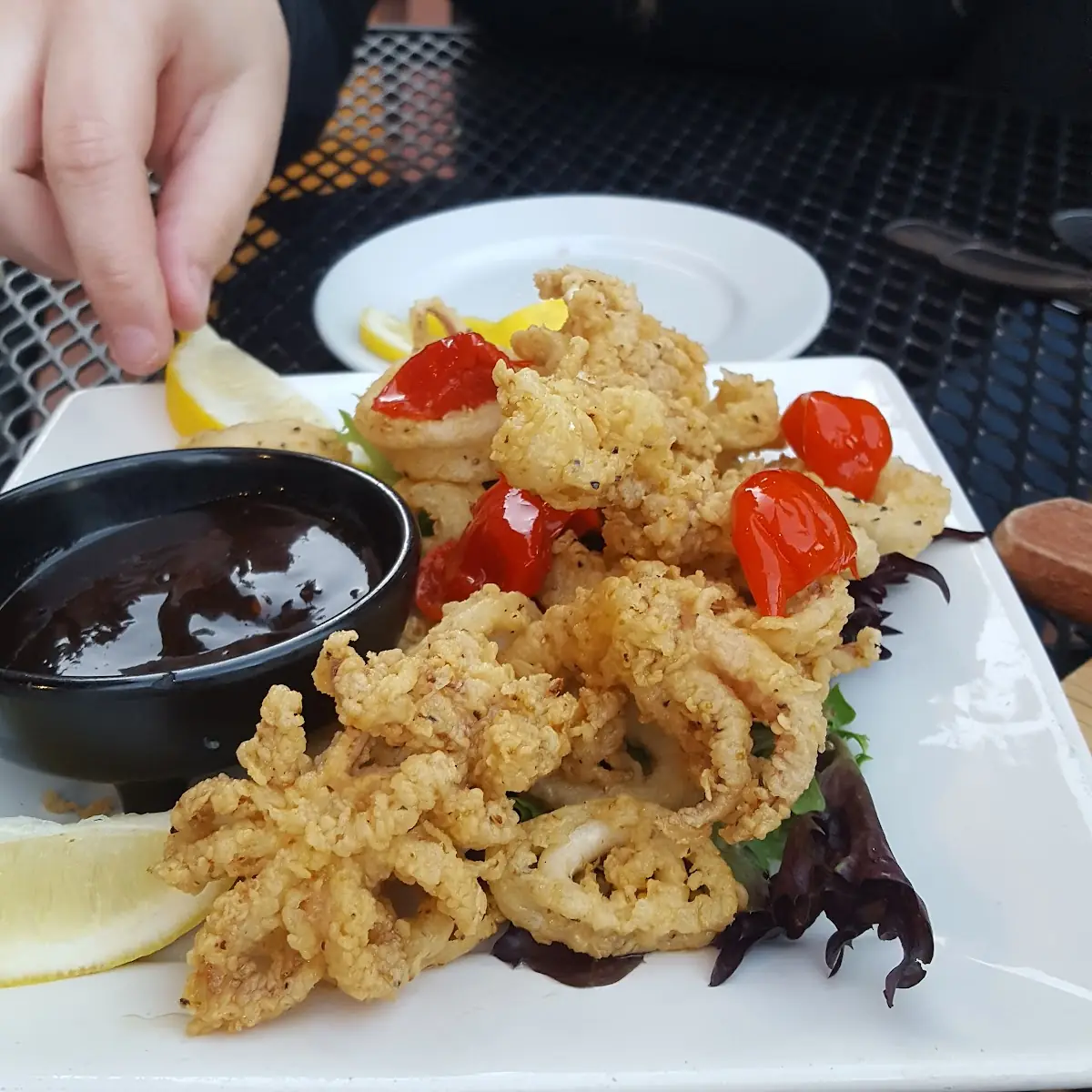 Fried Calamari