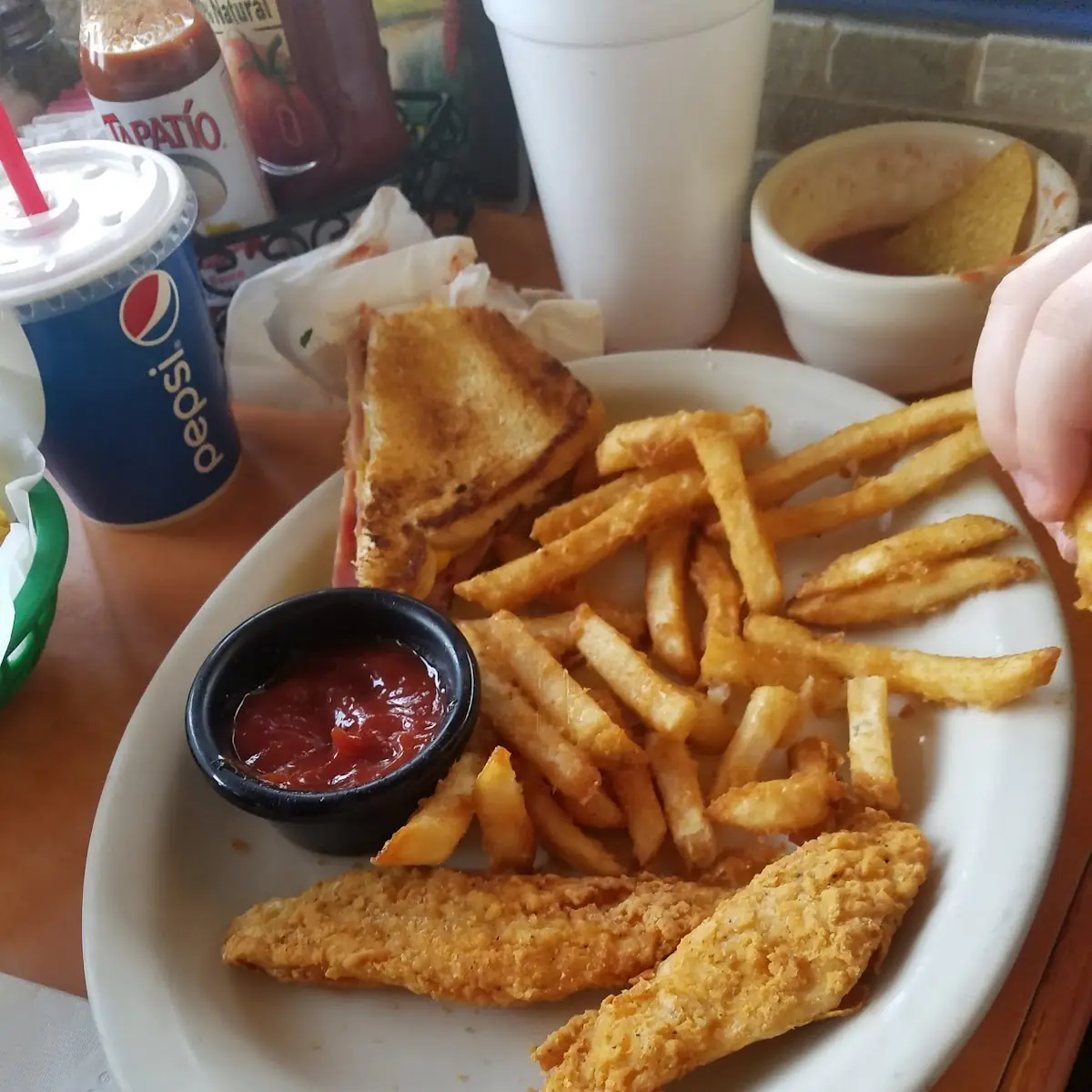 Chicken Strips