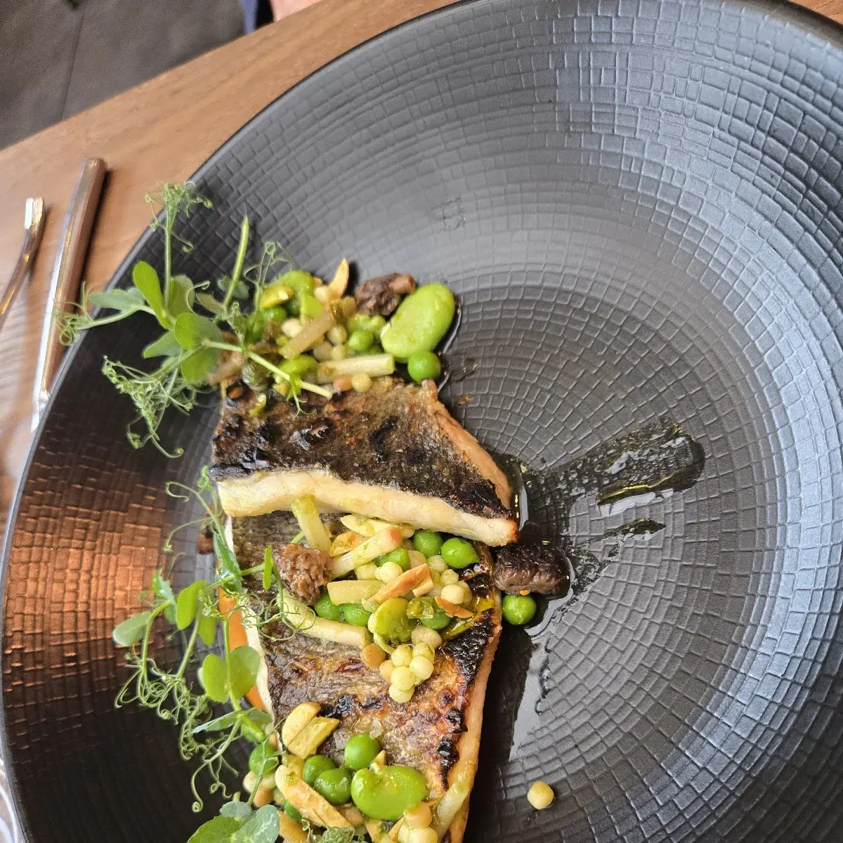 Black Cod