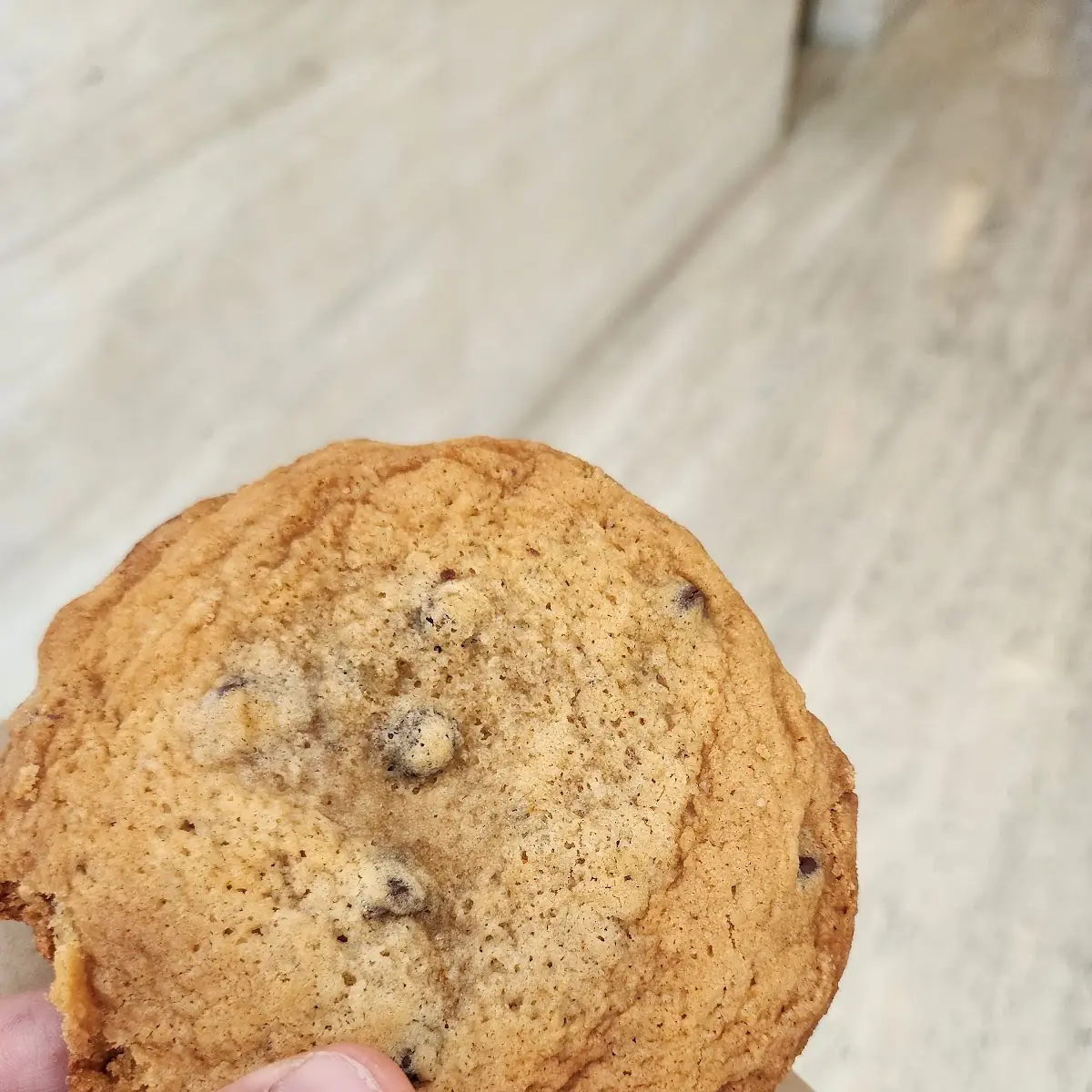 Chocolate Chip Cookie