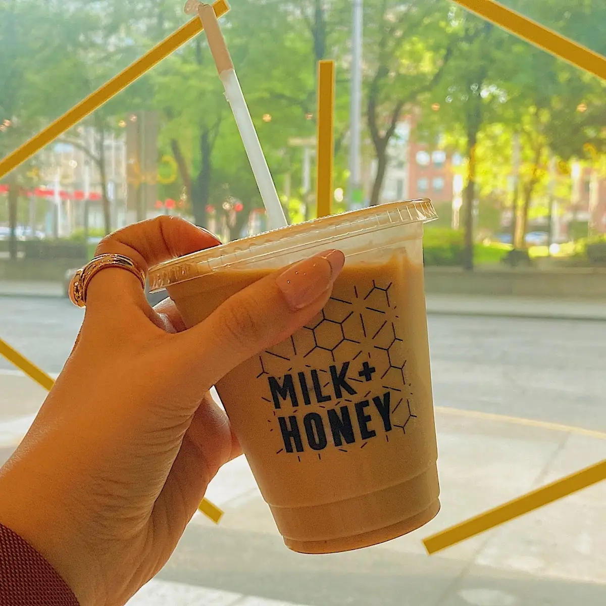 Sugar Free Vanilla Iced Latte