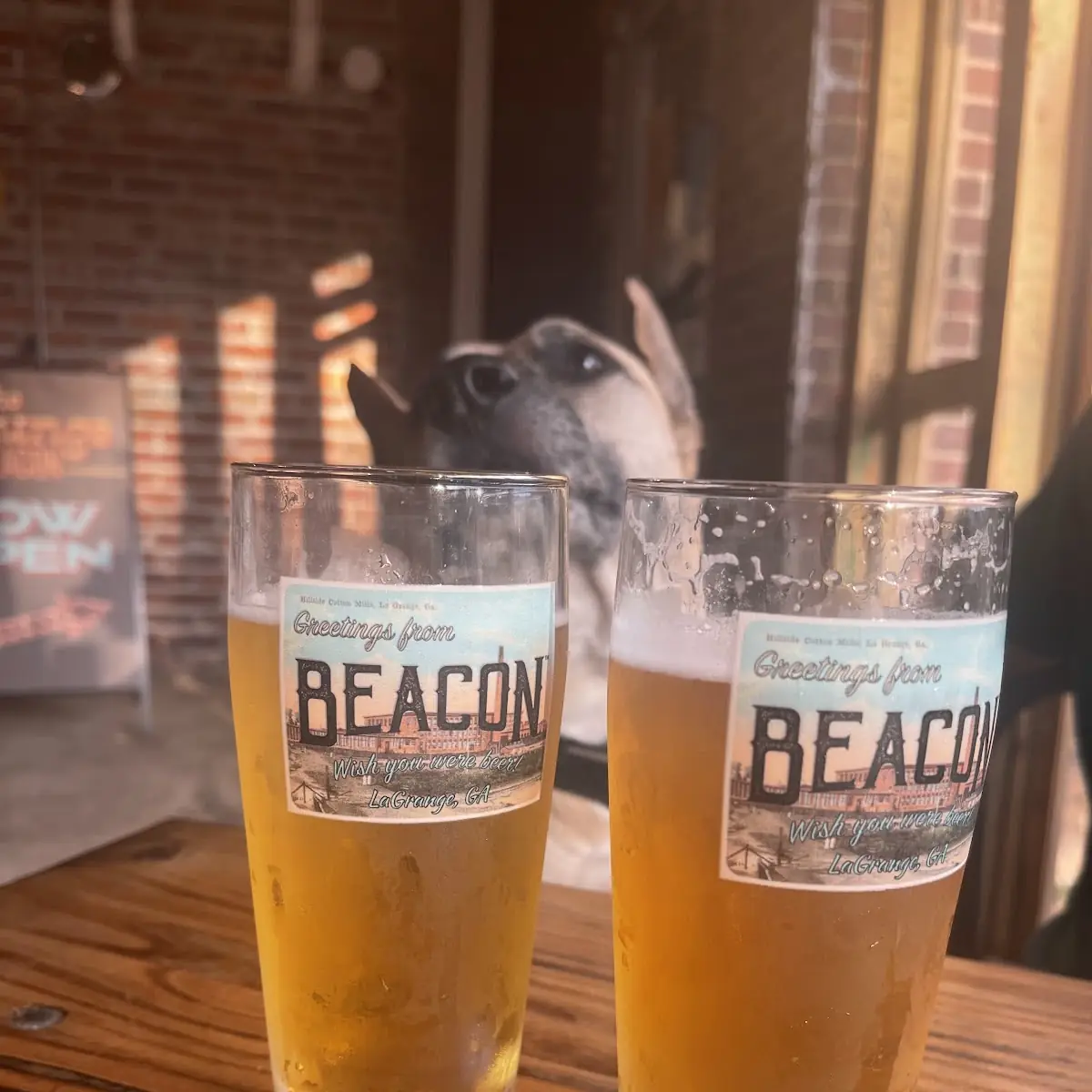 Sweetland Light Draft Beer