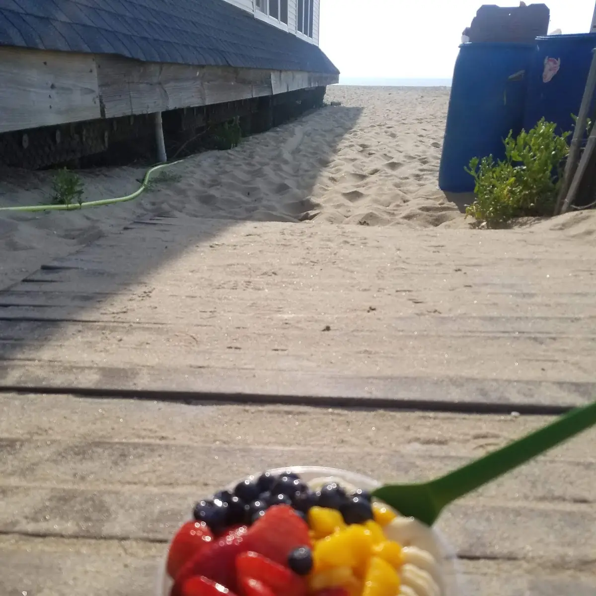 Fresh Fruit
